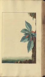 A page from the 