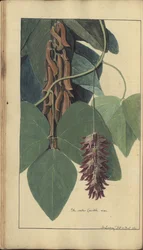A page from the 