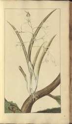 A page from the 