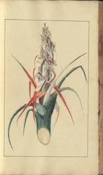 A page from the 