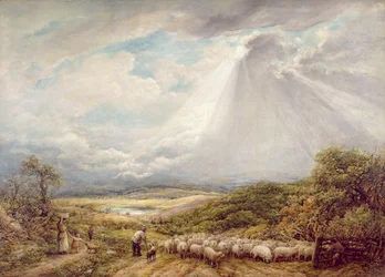 Driving the Flock