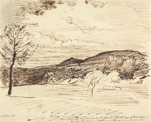 View from Mr. Sheppard