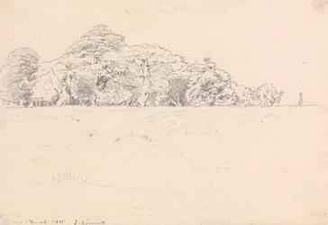 Windsor Forest
