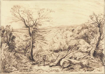 Woodcutters in a Forest