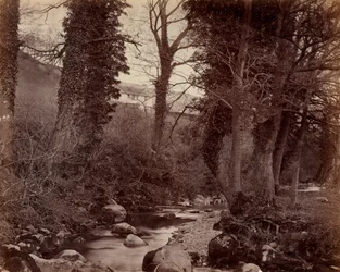 Untitled, c. 1859