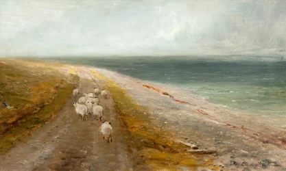 Stray Sheep