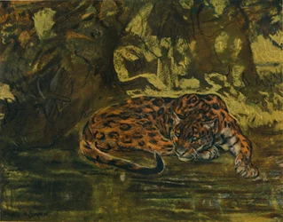 A Jaguar