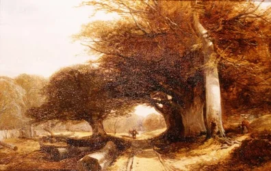 Woodland Scenery
