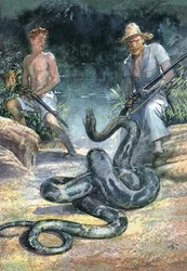 Swiss Family Robinson