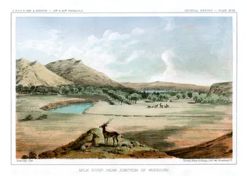Milk River, Near Junction of Missouri
