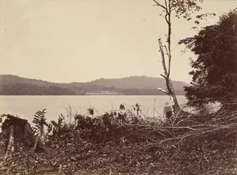 Tropical Scenery, Darien Harbor, Chipigana, 1871