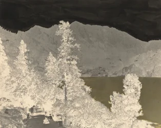 Nynee Tall from South End