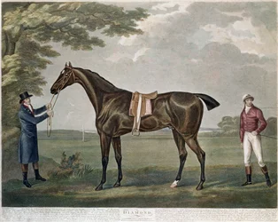 The Racehorse Diamond