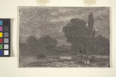 Marshy Landscape