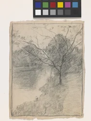 Tree Beside A Stream