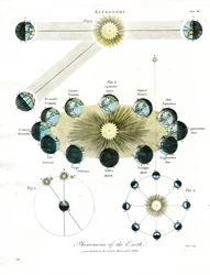 Astronomical Phenomena of the Earth