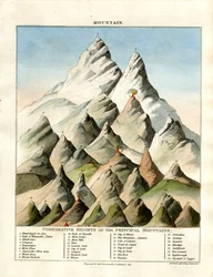 Comparative Heights of the Principal Mountains