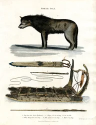 North Pole: Arctic Dog and Hunting Equipment