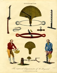 Regnier