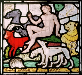 Adam amongst the animals (Creation window)