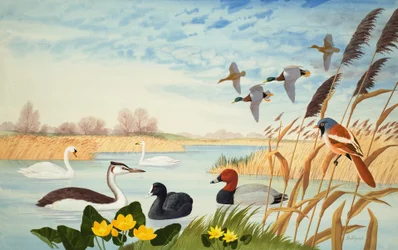 Nature Scene