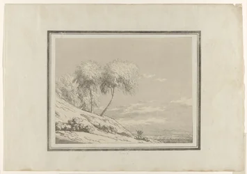 Birch