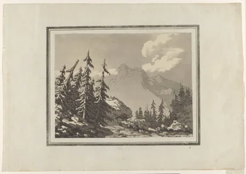 Fir