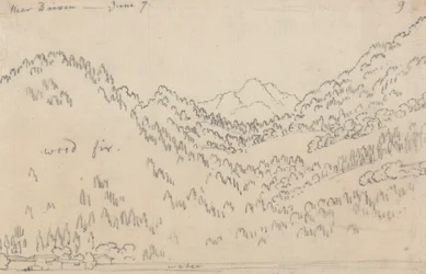 Near Brixen, June 7