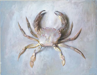 Study of a Velvet Crab, probably autumn 1870