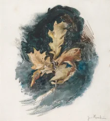 Study of an Oak Leaf