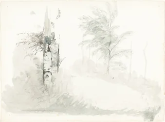 Tree Study