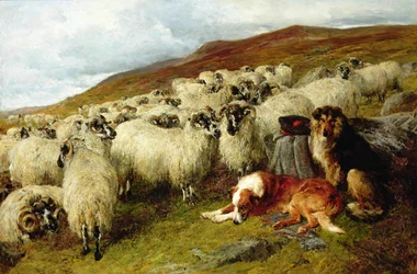 Weary but Watchful