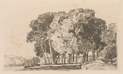 Liber Studiorum: Plate 3, Trees near Twickenham
