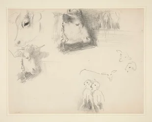Cows and Sheep
