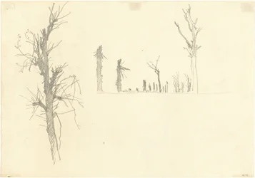 Devastated Trees (detail)