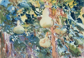 Gourds, c. 1905