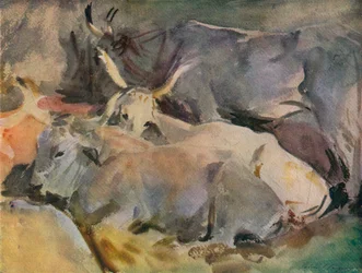 Oxen at Siena, c1910