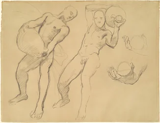 Studies of Notus for The Winds