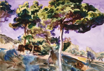Trees