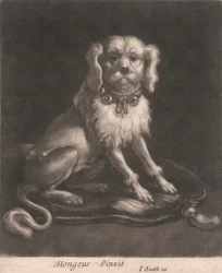 A Small Dog, Wearing a Belled Collar
