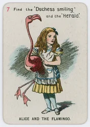 Alice and the Flamingo