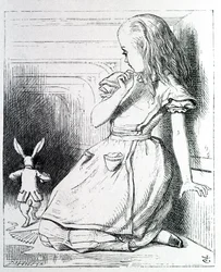 Alice and the Rabbit - in 
