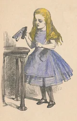 Alice Looking at the Bottle with the Sign 