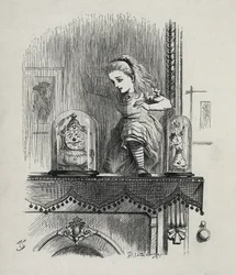 Alice Traversing the Mirror - In 