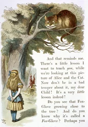 The Cheshire cat