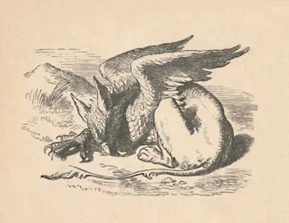 The Gryphon asleep in the sun
