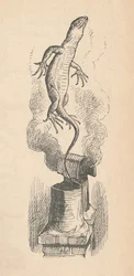 The Lizard, 1889