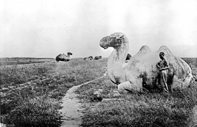 China, carved camels of the Imperial Way, c.1870