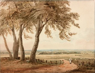 View from Polsden near Bookham in Surrey