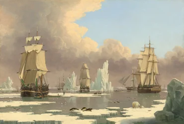 The Northern Whale Fishery: The Swan and Isabella
